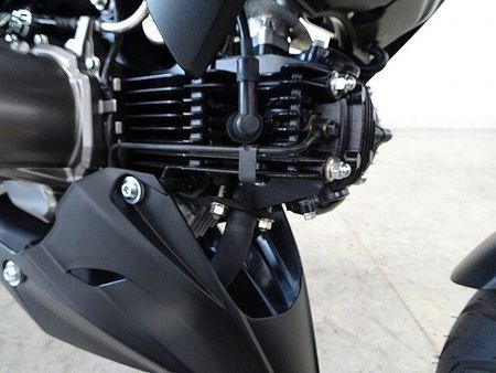 カワサキ Z125 プロ Z125 PRO 2021年モデル 30