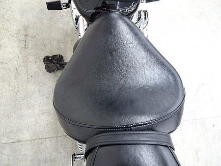 ヤマハ ドラッグスター 250 Drag Star 250 2008年モデル デイトナ製マフラー サドルバッグサポート 8
