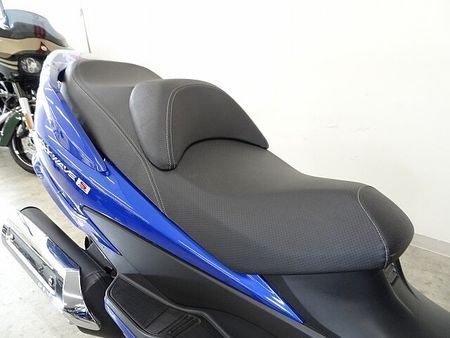 スズキ スカイウェイブ250 SKYWAVE 250 TypeS Basic 2012年モデル 19