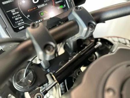 ハーレーダビッドソン PAN AMERICA 1250 9