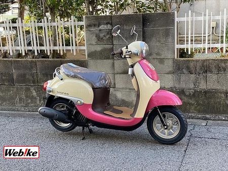 ホンダ ジョルノ (4サイクル) 俳句とバイクの街に色とりどりのバイクをたくさん走らせたい!そんな純粋な気持ちです。 3