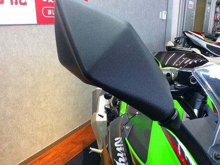 カワサキ ニンジャ 250 Ninja 250 KRT Edition【エンジンスライダーカスタムで安心☆】 16