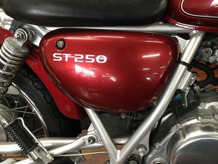 スズキ ST250 ST250 E-Type【マルチバー・グリップ・バーエンド・フォグランプ】 32