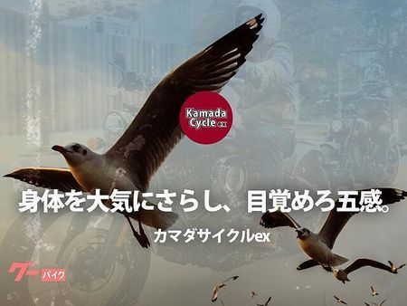 ヒョースン ヒョースン その他 随時入荷中!好評展示中! 10
