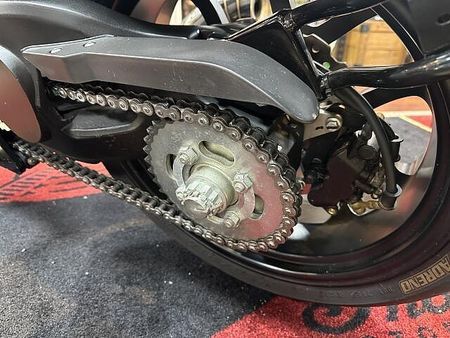 その他 パイルダー125 デター!パイルダー125!スペインのガレージブランド!お買い逃がしないように。 14