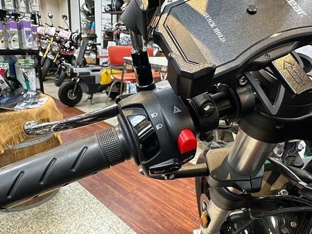 その他 パイルダー125 デター!パイルダー125!スペインのガレージブランド!お買い逃がしないように。 20