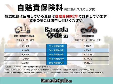 ヤマハ PG-1 ヤマハファンの皆様お待たせいたしました。並行輸入車になります。日本未発売! 22