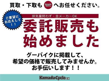ヤマハ PG-1 ヤマハファンの皆様お待たせいたしました。並行輸入車になります。日本未発売! 28