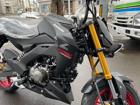 カワサキ Z125 プロ 3
