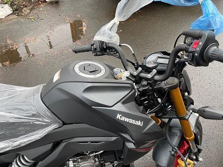 カワサキ Z125 プロ 4