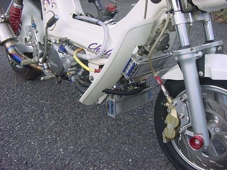 ホンダ シャリー50 フルカスタム車!ヨシムラ・Gクラフト・ゲイル他一流パーツてんこ盛り!社外メーター走行不明 7