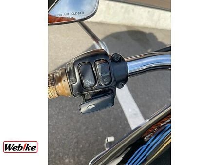 ハーレーダビッドソン FLSTS Softail Heritage Springer 10