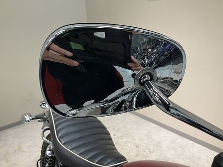 カワサキ W800 W800 2022年モデル 15