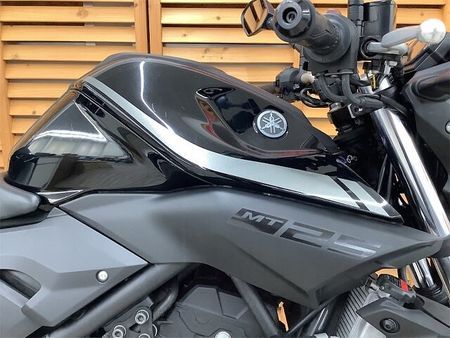 ヤマハ MT-25 MT-25 フルノーマル!!! 10