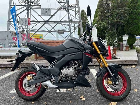 カワサキ Z125 プロ Z125PRO 1