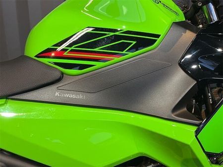 カワサキ ニンジャ 400 街乗りからサーキットまで☆人気車種の為、お早めにご検討くださいませ☆ 18