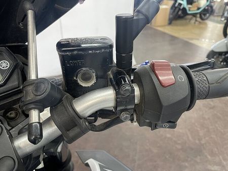 ヤマハ MT-25 MT-25 2016年モデル スモークスクリーン フェンダーレス 【マル得】 16