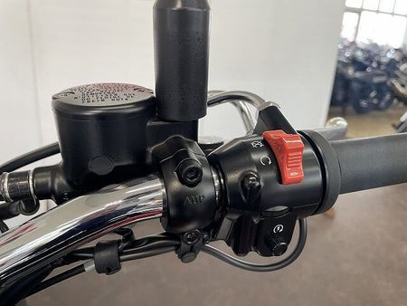 カワサキ W800 W800 エンジンガード リアキャリア 2024年モデル 18