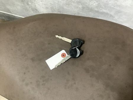 ホンダ ジョルノ Giorno 2016年モデル フルノーマル車両 8