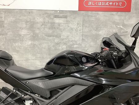 ヤマハ YZF-R25 YZF-R25 フェンダーレス 2021年モデル!! 33