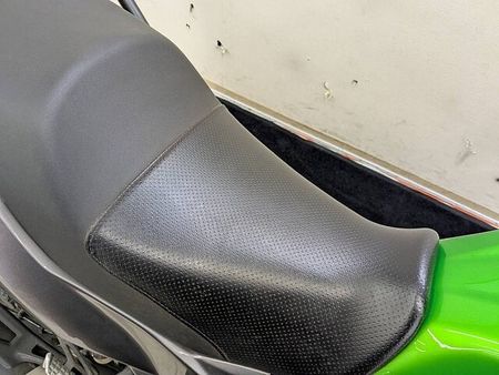 カワサキ VERSYS-X 250 【スピード納車】ベルシス-X250 2017年モデル エンジンガード/リアキャリア装備!! 14