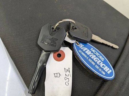 カワサキ Z250 Z250 2014年モデル 乗りやすいストリートファイター 9