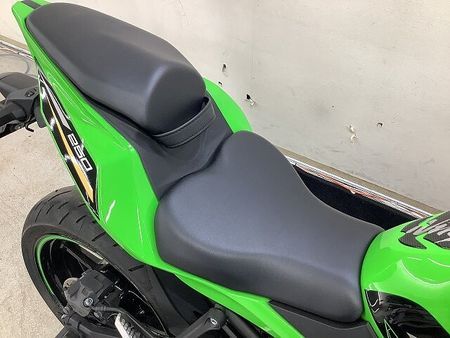 カワサキ ZX-25R Ninja ZX-25R SE 2021年モデル エンジンスライダー マルチバ―装備 38