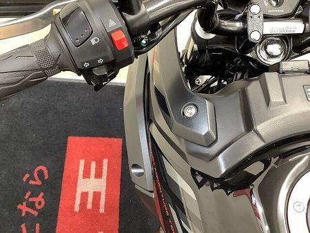 スズキ Vストローム250 V-Strom 250 2021年モデル トップケース装備 17