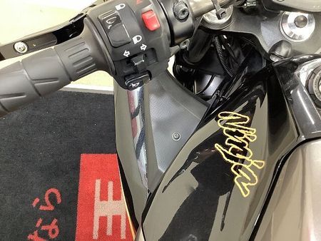 カワサキ ニンジャ 400 Ninja 400 Special Edition 2017年モデル ☆★パワーのあるスポ 17