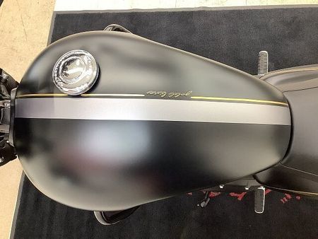 トライアンフ STREET TWIN ストリートツイン 2022年モデル エンジンガード サイドバックステー装備 15