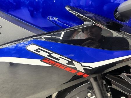 スズキ GSX250R GSX250R 2020年モデルワンオーナースペアキーあり社外マフラー装備リアフェンダレス 19