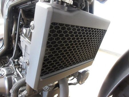 ホンダ レブル 250 REBEL 250 S Edition(レブル250)/ABS/モリワキ製スリップオンマフ 37