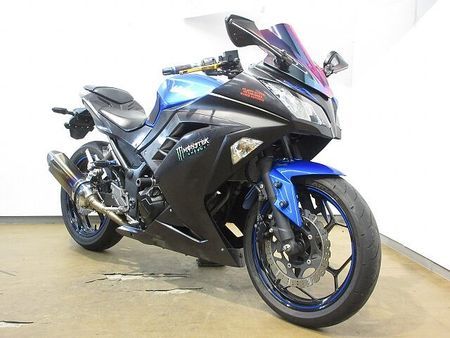 カワサキ ニンジャ 250 Ninja 250(ニンジャ)/EX250L型/UKレバー/ローダウン仕様/エンジンスライ 2