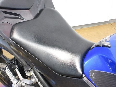カワサキ ニンジャ 250 Ninja 250(ニンジャ)/EX250L型/UKレバー/ローダウン仕様/エンジンスライ 11