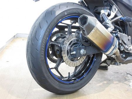 カワサキ ニンジャ 250 Ninja 250(ニンジャ)/EX250L型/UKレバー/ローダウン仕様/エンジンスライ 14