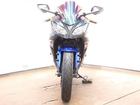 カワサキ ニンジャ 250 Ninja 250(ニンジャ)/EX250L型/UKレバー/ローダウン仕様/エンジンスライ 16