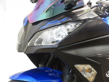 カワサキ ニンジャ 250 Ninja 250(ニンジャ)/EX250L型/UKレバー/ローダウン仕様/エンジンスライ 17