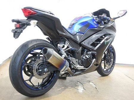 カワサキ ニンジャ 250 Ninja 250(ニンジャ)/EX250L型/UKレバー/ローダウン仕様/エンジンスライ 3