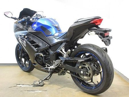 カワサキ ニンジャ 250 Ninja 250(ニンジャ)/EX250L型/UKレバー/ローダウン仕様/エンジンスライ 6