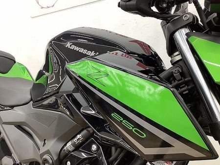カワサキ Z250 Z250 ★☆2023年モデル スポーツネイキッドタイプ☆★!! 15