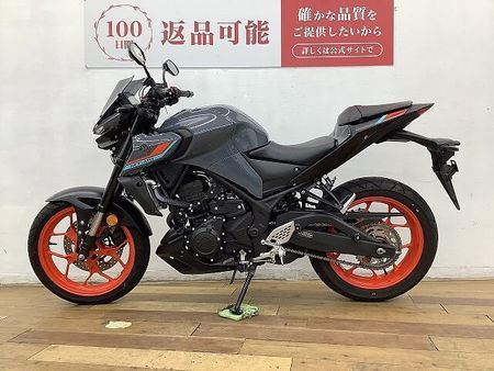 ヤマハ MT-25 MT-25 ★☆アクラポビッチGPスリップオンマフラー USB電源 ヘルメットロック☆★ 3