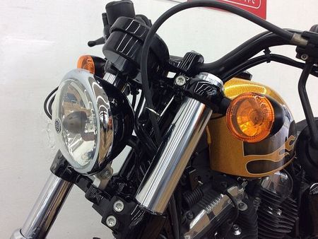 ハーレーダビッドソン XL1200X SPORTSTER FortyEight XL1200X ★☆2016年モデル 純正オプションセキュリティ スカルフットペグ ヒート 33