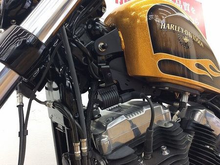 ハーレーダビッドソン XL1200X SPORTSTER FortyEight XL1200X ★☆2016年モデル 純正オプションセキュリティ スカルフットペグ ヒート 38