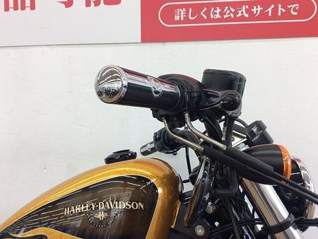 ハーレーダビッドソン XL1200X SPORTSTER FortyEight XL1200X ★☆2016年モデル 純正オプションセキュリティ スカルフットペグ ヒート 8