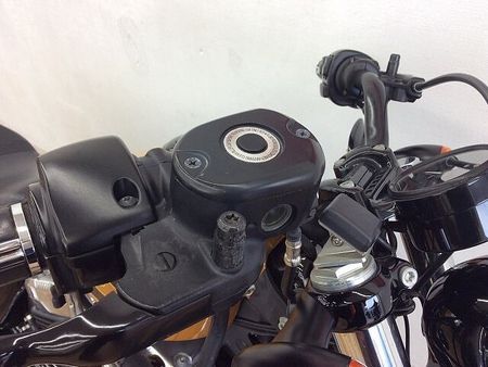 ハーレーダビッドソン XL1200X SPORTSTER FortyEight XL1200X ★☆2016年モデル 純正オプションセキュリティ スカルフットペグ ヒート 9