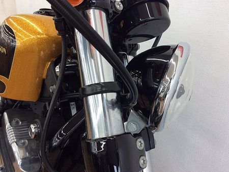 ハーレーダビッドソン XL1200X SPORTSTER FortyEight XL1200X ★☆2016年モデル 純正オプションセキュリティ スカルフットペグ ヒート 10