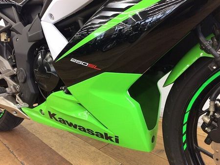 カワサキ ニンジャ 250SL NINJA250SL ★☆2015年モデル 単気筒エンジン ヘルメットロック装備☆★ 16