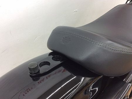 ハーレーダビッドソン XL1200X SPORTSTER FortyEight XL1200X フォーティーエイト ★☆タンクリフトアップ サイドナンバー ラフクラフトエ 34