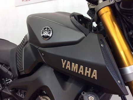 ヤマハ MT-09 MT-09 ★☆カーボンフェンダー ストライカーバックステップ その他カスタム多数☆★!! 18