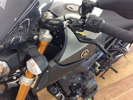 ヤマハ MT-09 MT-09 ★☆カーボンフェンダー ストライカーバックステップ その他カスタム多数☆★!! 39
